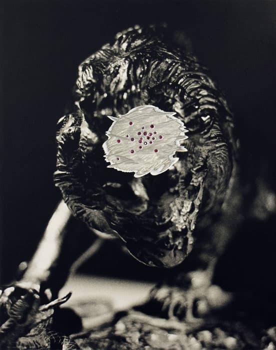 Der Tiefenglanz (Löwe)