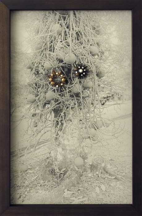 Der Tiefenglanz (Tree)