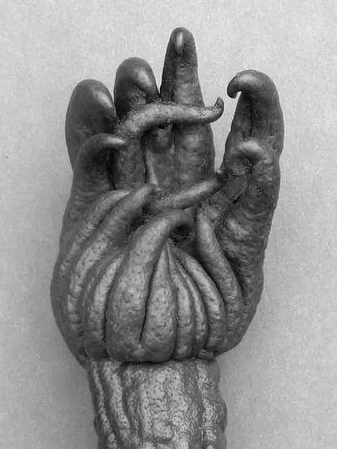 Buddha’s Hand