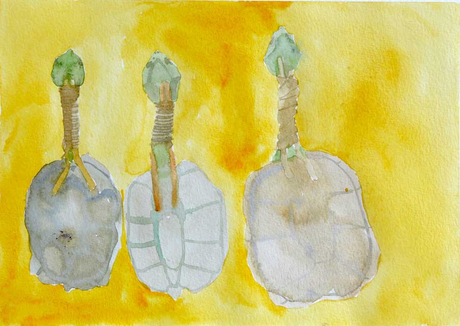Yellow Tortoise Rattles