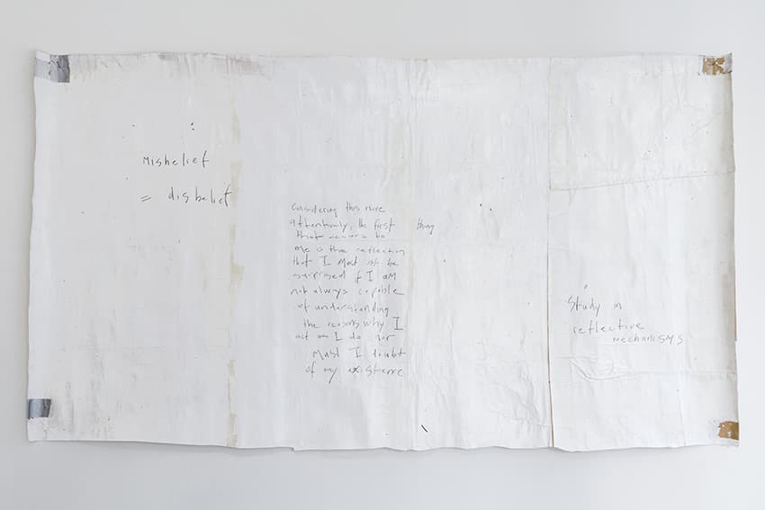 AW70047-4002  untitled (misbelief = disbelief)