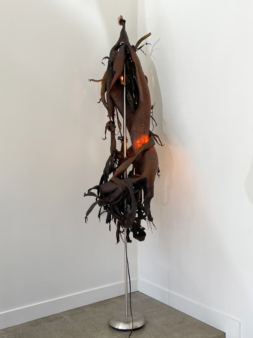 Seaweed Lamp