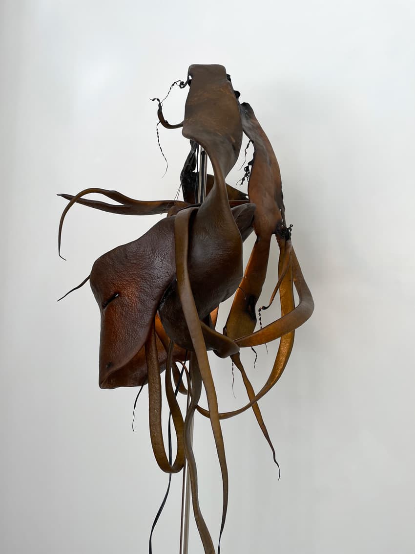 Seaweed Lamp (detail)