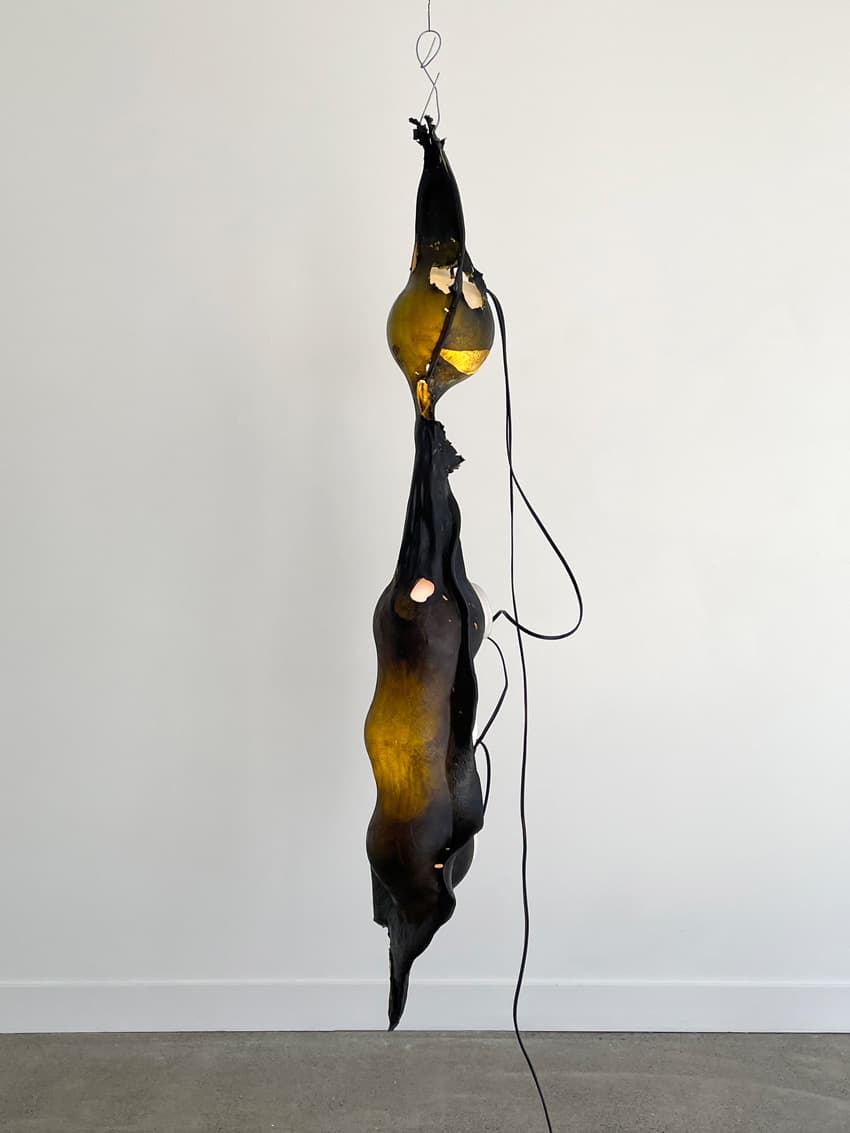 Seaweed Lamp