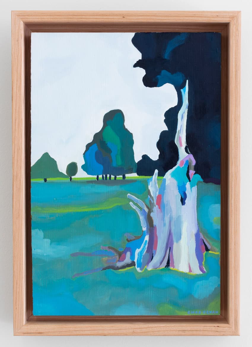 Acacia Stump (Homage to C.Perkins)