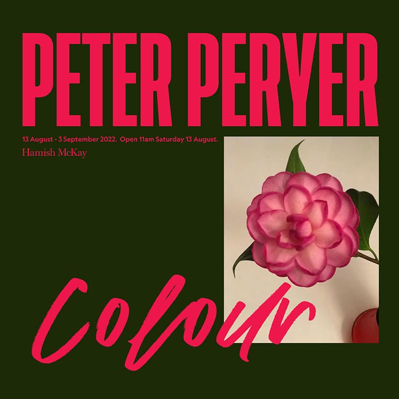 Peter Peryer – Colour