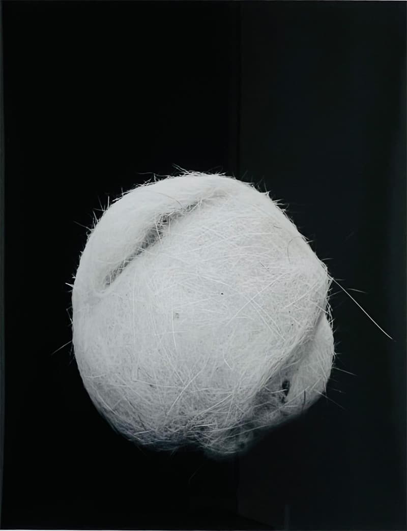 Untitled, Sculpture Series