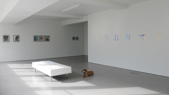 Installation view