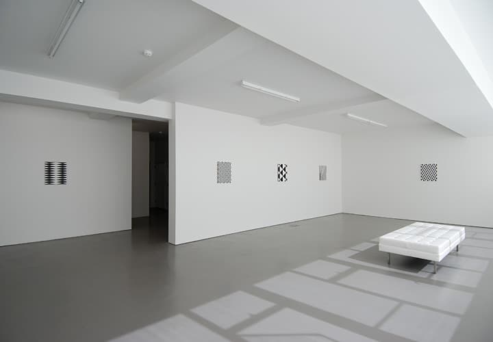 Warriors installation view