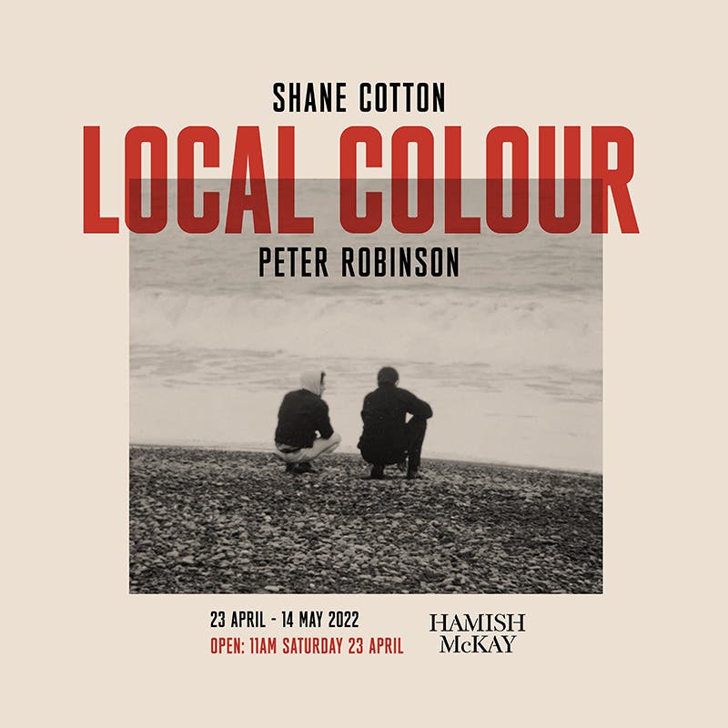Local Colour – Shane Cotton and Peter Robinson