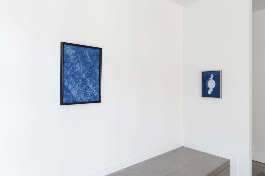 Gavin Hipkins 2023 install 2, Photo Cheska Brown