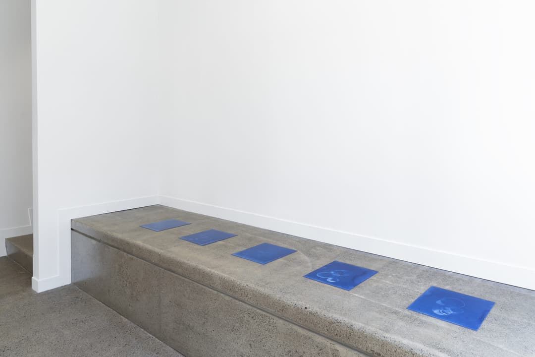 Gavin Hipkins 2023 install 5, Photo Cheska Brown