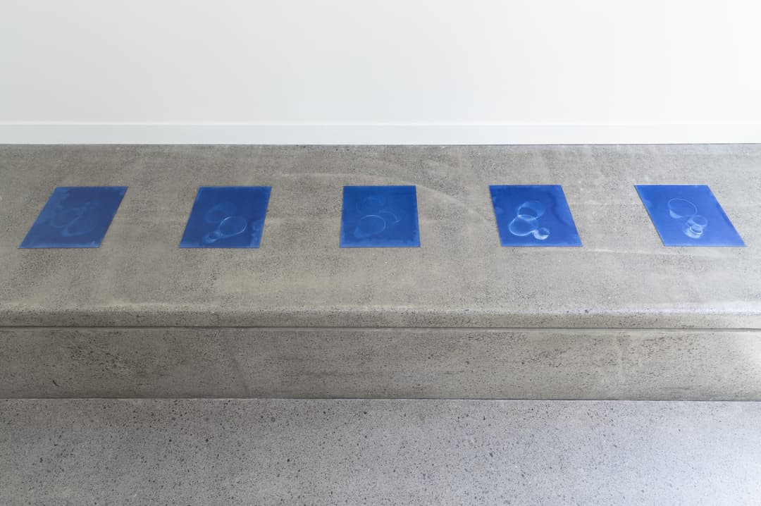 Gavin Hipkins 2023 install 6, Photo Cheska Brown