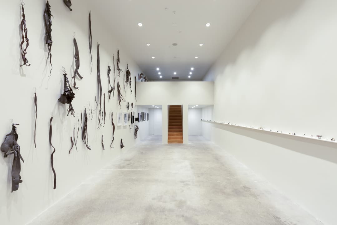 Karl Fritsch, Gavin Hipkins 1, Photo Cheska Brown