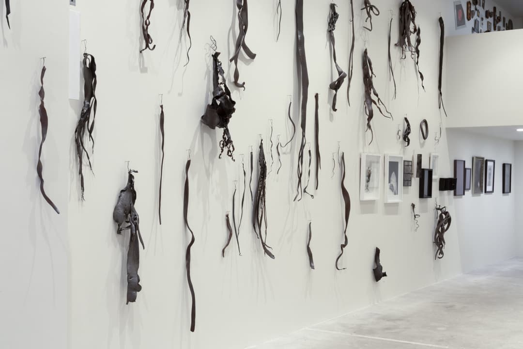 Karl Fritsch, Gavin Hipkins 2, Photo Cheska Brown