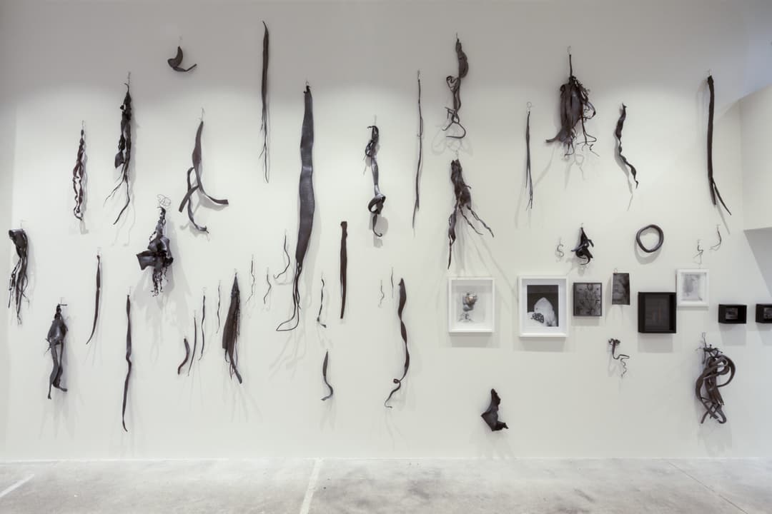 Karl Fritsch, Gavin Hipkins 3, Photo Cheska Brown