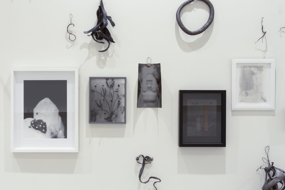 Karl Fritsch, Gavin Hipkins 4, Photo Cheska Brown