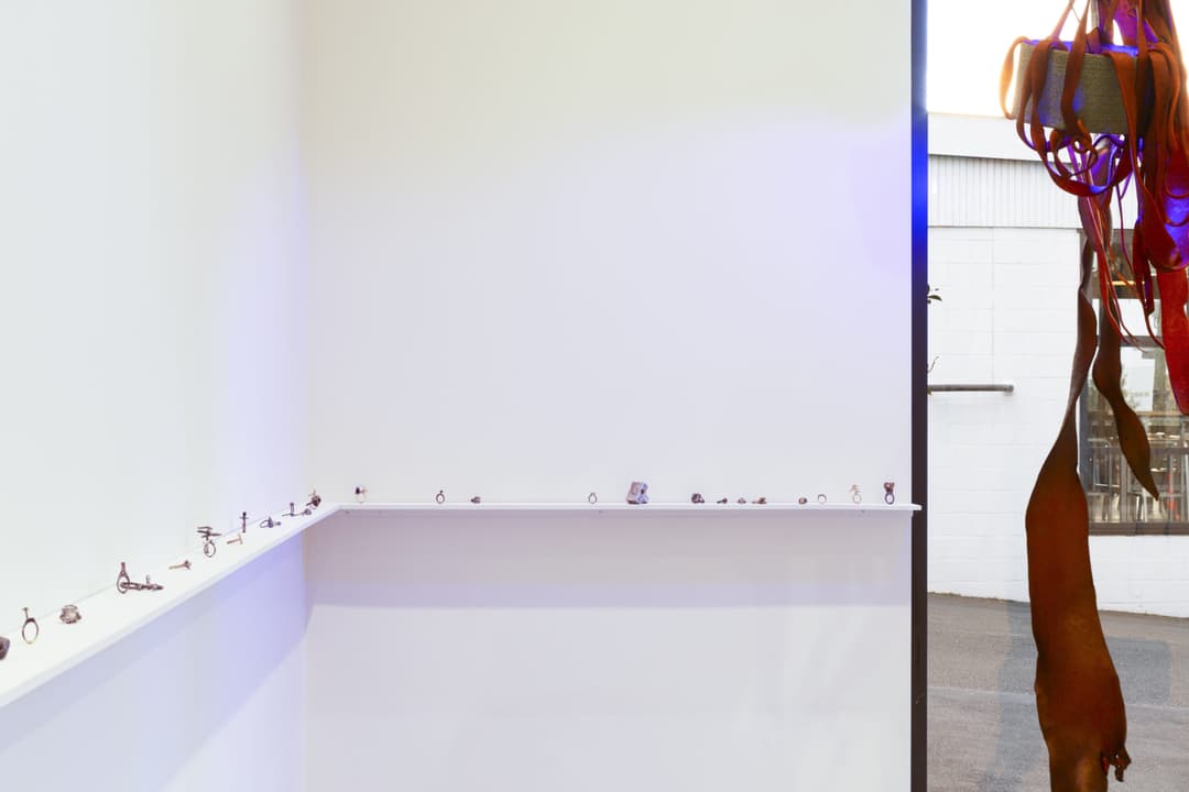 Karl Fritsch, Gavin Hipkins 7, Photo Cheska Brown