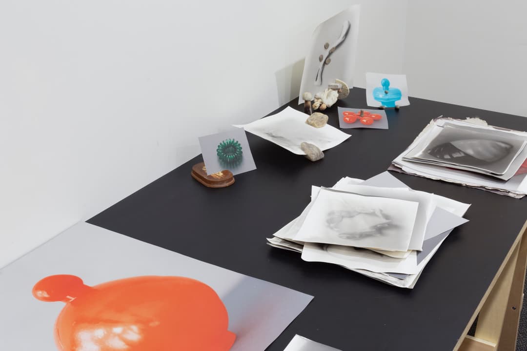 Karl Fritsch, Gavin Hipkins 9, Photo Cheska Brown