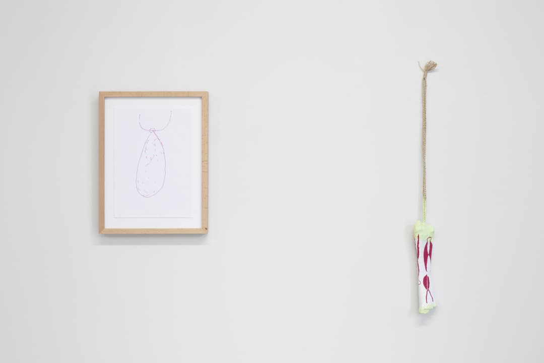 Lisa Walker 2024 14, Photo Cheska Brown