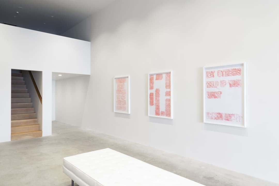 Rose Nolan install 9, Photo Cheska Brown