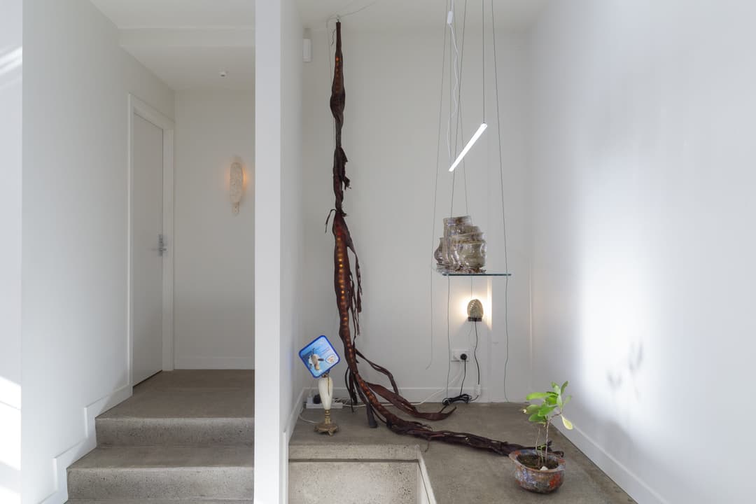 09 Karl Fritsch 2025, Photo Cheska Brown