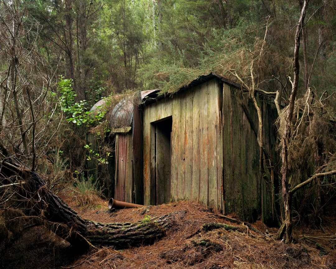 Overgrown Workshop, Elliotvale Coal Mine, Otago Coast Forest