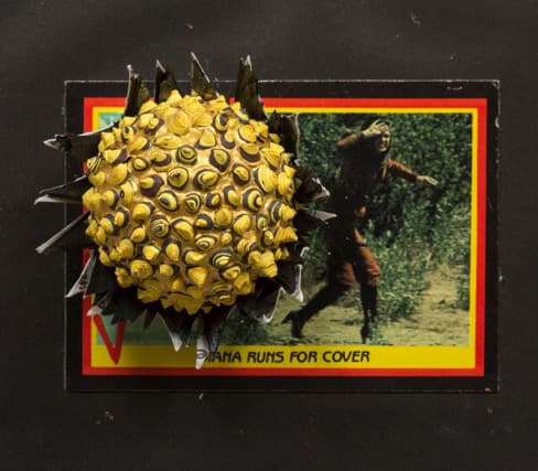 Diana Runs For Cover