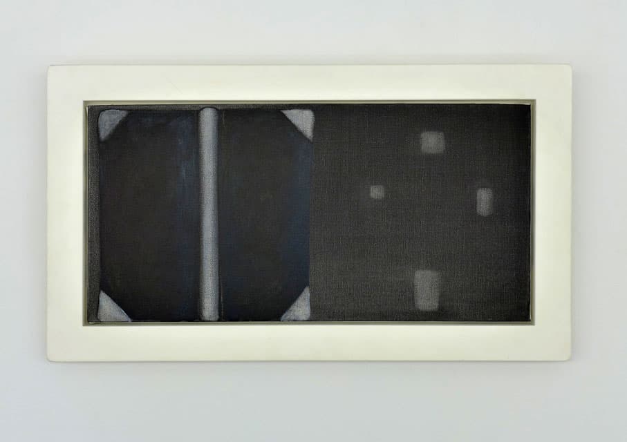 Showing an astronomy book the night sky