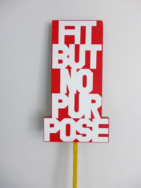 FIT BUT NO PURPOSE (domestic placard)