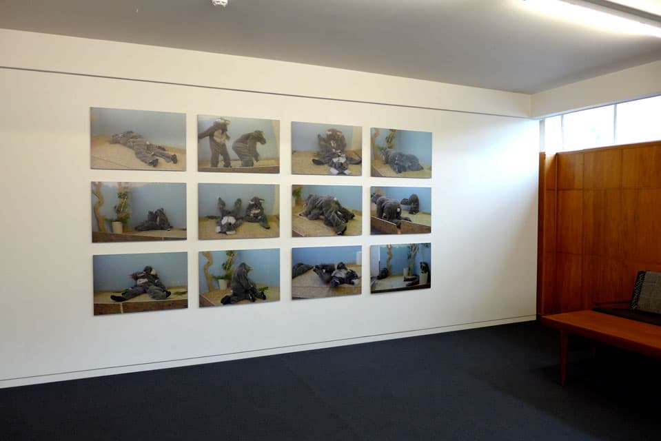 Audition for a Pair of Koalas (Blue)