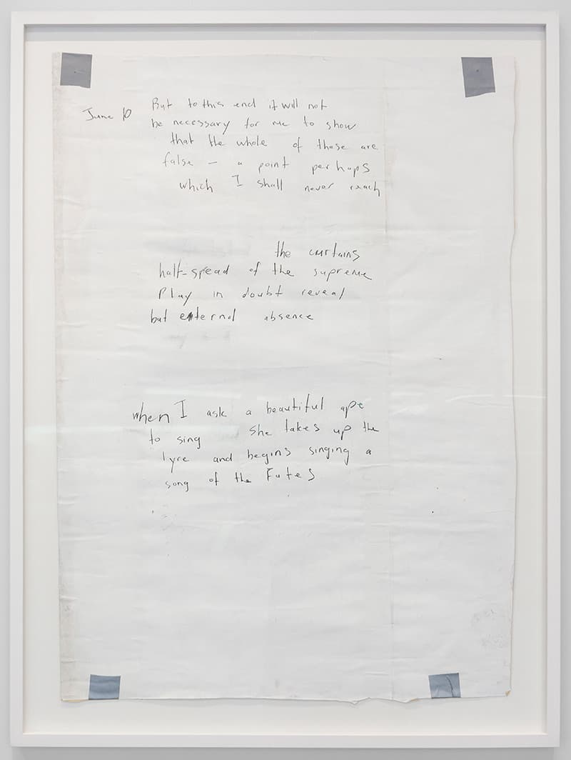 AW70043.1013-2 untitled (when I ask a beautiful ape)