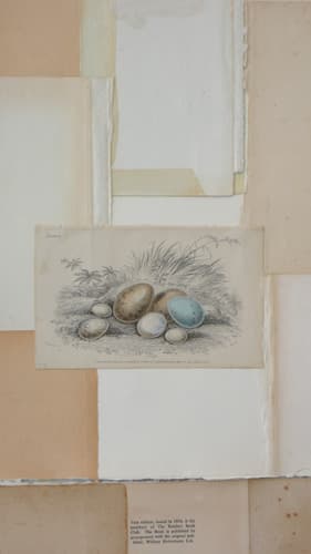 Ex Libris – detail