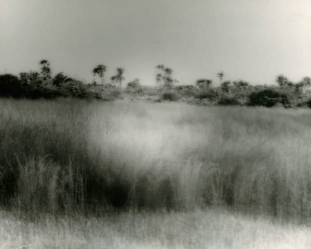 The Valley – detail