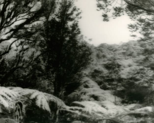 The Valley – detail