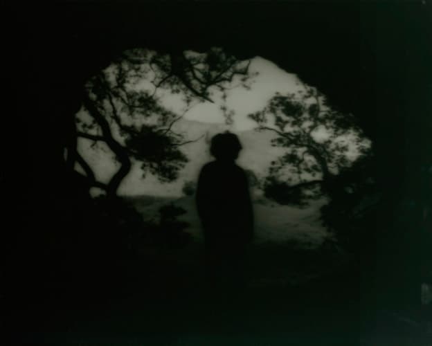 The Valley – detail