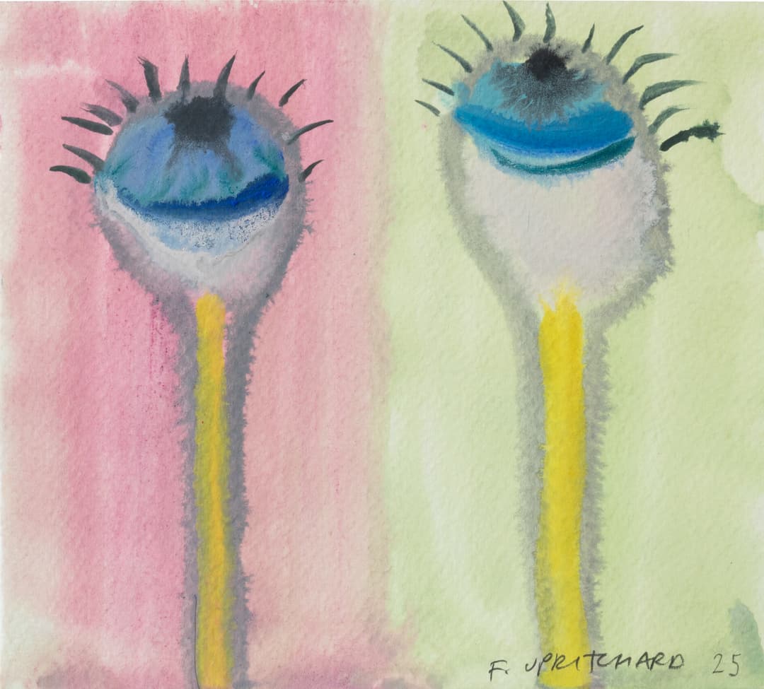 Eyes on Stalks